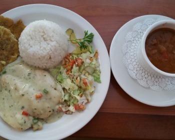 Comida tipica Puertorriqueña Palmas de Lucia